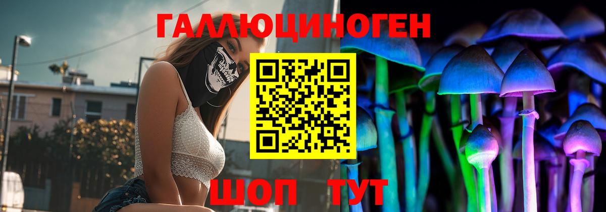 Псилоцибиновые грибы Psilocybe Знаменск